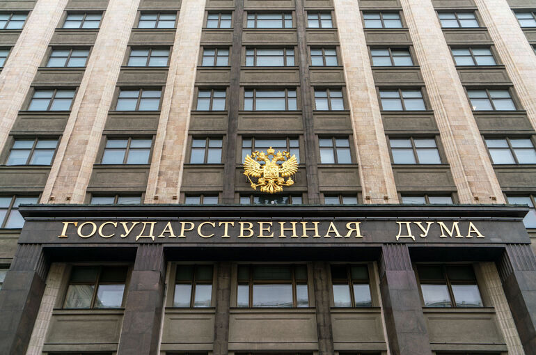 Госдума обсудит усиление ответственности для правонарушителей-релокантов