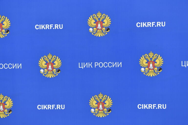 ЦИК создаст новый сервис для избирателей из-за проблем с КОИБами