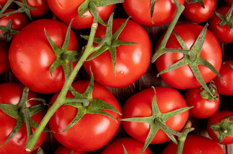 В Россельхознадзоре заявили о несоответствии армянской сельхозпродукции нормам