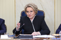 Матвиенко считает важным уделять особое внимание потенциалу сельской демографии