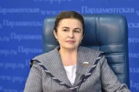 Сенатор Чефранова: Потребность российских медучреждений в расходниках закрыта