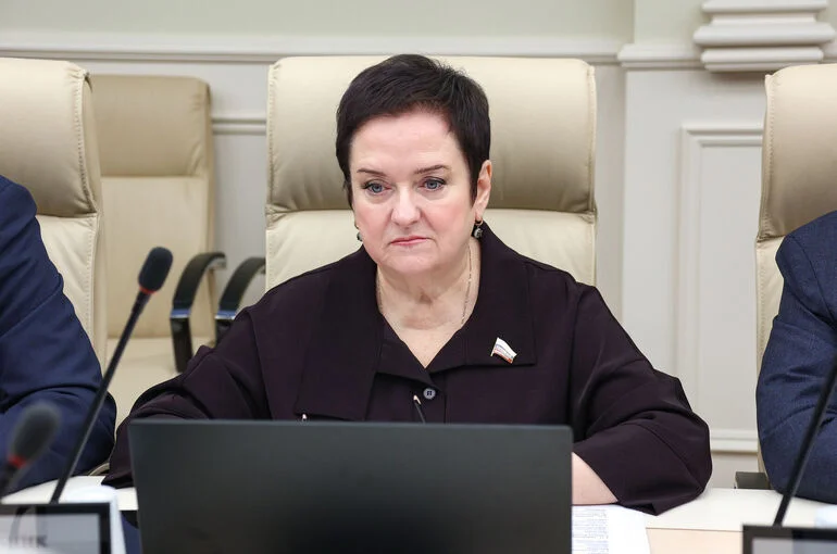 Сенатор Мельник: В России создается многоуровневая система регулирования IT‑отрасли