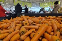 Цены на плодоовощную продукцию в России впервые с марта выросли на 1,1%