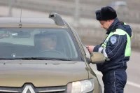 Депутат Нилов призвал не наказывать водителей за использование рамок для номеров