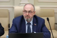 Сенатор Ситников обсудил с коллегами сохранение культуры коренных народов Севера