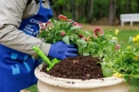 Волонтерам в сфере благоустройства хотят дать право на господдержку
