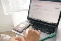Минобрнауки: «Госуслуги» заблокируют подачу заявлений абитуриентов в «день тишины»