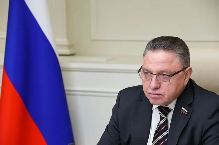 Сенатор Тимченко предупредил о попытках зарубежного вмешательства перед выборами