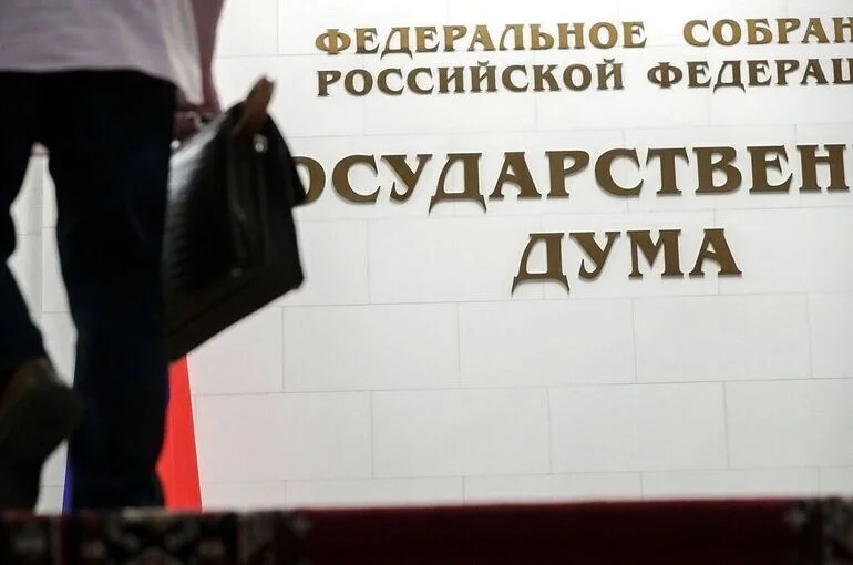 Некоторых многодетных родителей предложили не отправлять под стражу