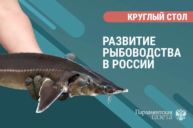 Круглый стол о развитии аквакультуры и способах выращивания лососевых пород