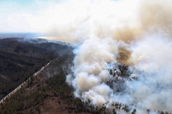 Законодатели трёх регионов Прибайкалья обсудят предотвращение лесных пожаров