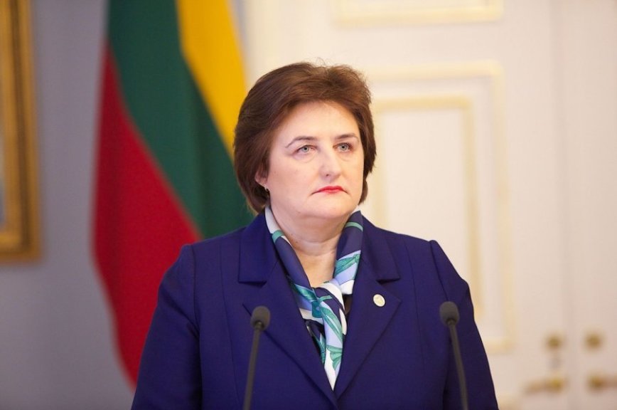 Спикер cейма Литвы против ограничения полномочий Конституционного суда