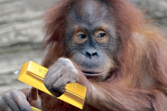 Вполне предсказуемая обезьяна