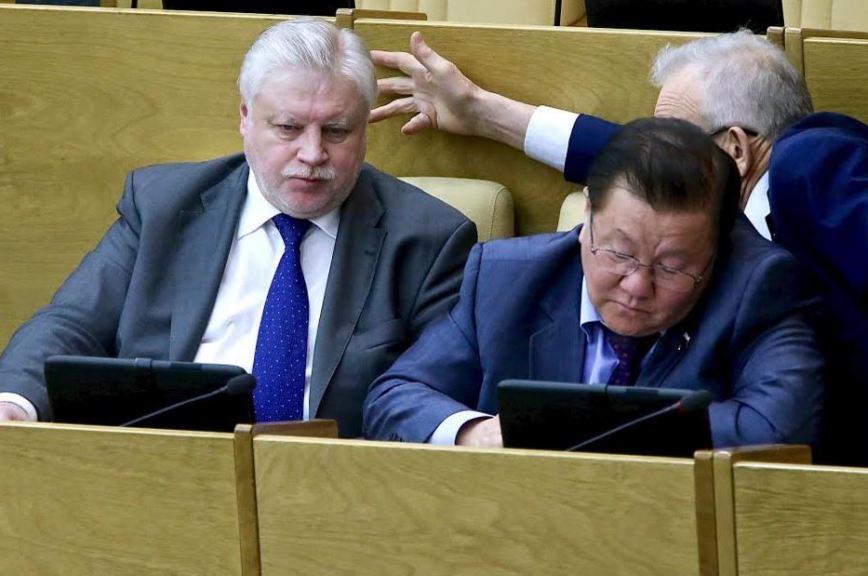 Миронов: На территории Турции чихнуть никто не сможет, чтобы Россия это не проконтролировала