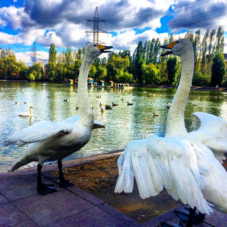 На территории Новолипецкого металлургического комбината