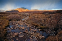 Андрей Степанов