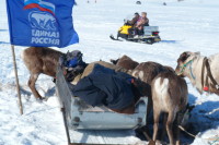 Также прошли гонки на оленьих упряжках