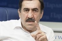 Доктор экономических наук, профессор, президент Фонда «Единение русского и грузинского народа» Владимир Хомерики