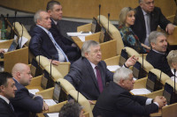 Пленарное заседание Госдумы 13 февраля 