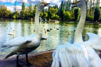 На территории Новолипецкого металлургического комбината