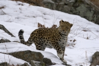 Валерий Малеев: