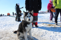 С погодой повезло: солнечно, и всего -12, поэтому собралось много зрителей