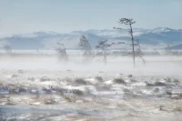 Максим Астафьев: