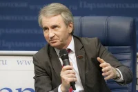 Член комитета Госдумы по вопросам собственности Владимир Родин