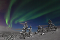 Дмитрий Горшенев: