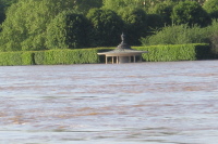 Наводнение в Дрездене