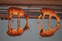 Евгений Полонский: