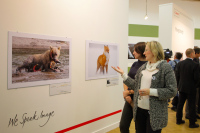 ...и поклонницы