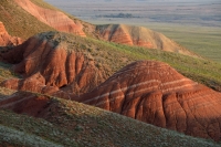 Игорь Шпиленок