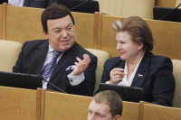 Пленарное заседание Госдумы 13 февраля 