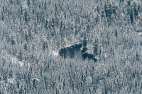 Алексей Безруков