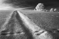 Виталий Новиков: