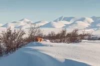 Сергей Терещенко