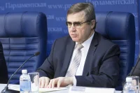Первый заместитель председателя комитета Госдумы по образованию, вице-президент общества Олег Смолин