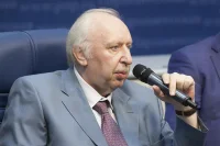 Руководитель направления «Финансы и экономика» Института современного развития Никита Масленников