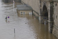 Наводнение в Дрездене