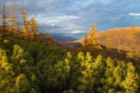 Андрей Степанов: