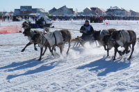Снегоходы никогда не отберут работу у оленей, потому что животные реже ломаются, и дают мясо и мех