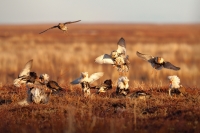 Сергей Терещенко