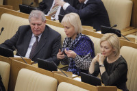 Пленарное заседание Госдумы 13 февраля 