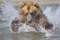 Сергей Горшков