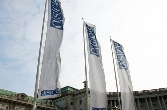 Россия не вошла в миссию ОБСЕ на выборах в США, так как она не учитывает мнение Москвы – МИД РФ