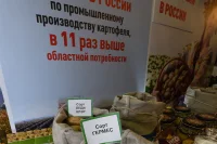 Брянская область считает себя «картофельной столицей России»