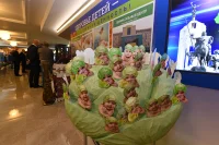Брянская область борется за улучшение демографии - в 2015 году количество родившихся в регионе увеличилось на 452 ребенка