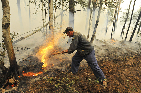 Лесных поджигателей оштрафуют пожарные