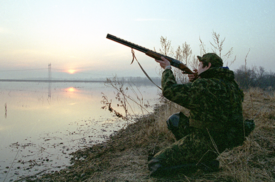 В Совете Федерации одобрили Стратегию развития охотничьего хозяйства
